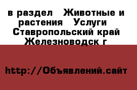  в раздел : Животные и растения » Услуги . Ставропольский край,Железноводск г.